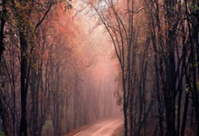 许昕：能直接要一个佳佳这样的孩子吗.