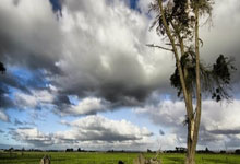 乒乓球仁川赛:女单16强已出其4!钱天一首战告捷,3-1击败强敌.