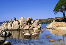 田径——南京室内世锦赛：参赛运动员赛前训练.：玩加电竞